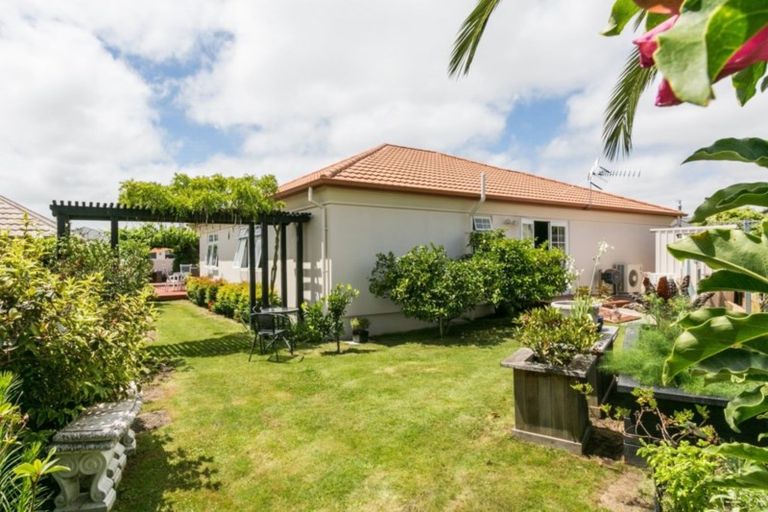 Photo of property in 41 Palmbrook Avenue, Havelock North, 4130