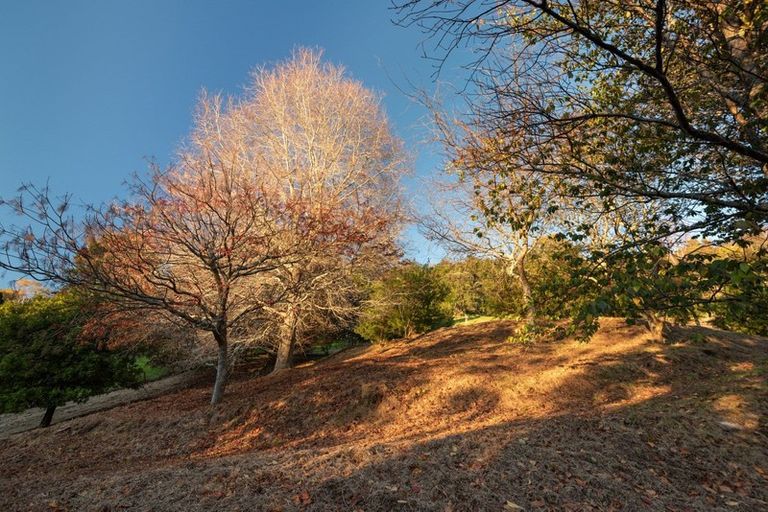 Photo of property in 9 Corbett Drive, Minden, Tauranga, 3176