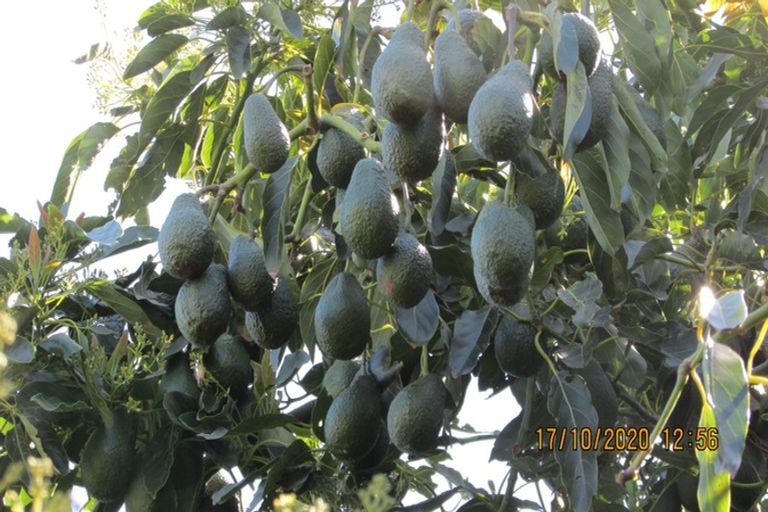 Photo of property in 9a Humber Crescent, Gate Pa, Tauranga, 3112