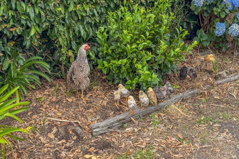 Photo of property in 347 Taniwha Road, Waerenga, Te Kauwhata, 3781