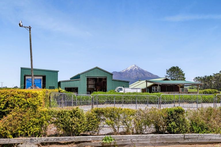 Photo of property in 1 Waingongoro Road, Cardiff, Stratford, 4391