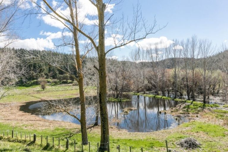 Photo of property in 1279 Wairoa Rd Bay View, Eskdale, Napier, 4182