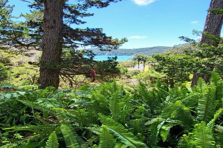 Photo of property in 9 Lavinia Place, Kawau Island, 0920