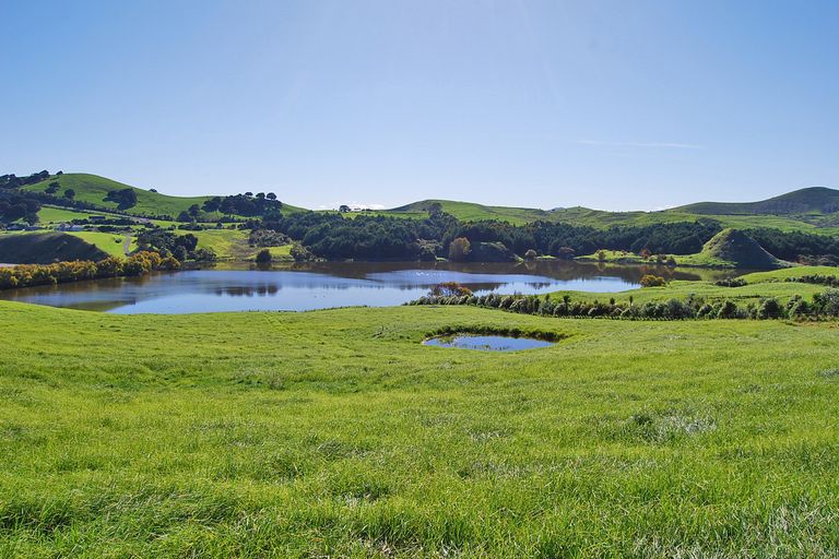 Photo of property in 96 Manu Drive, Kaiwaka, 0573