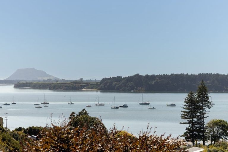 Photo of property in 17 Farnell Court, Omokoroa, 3114