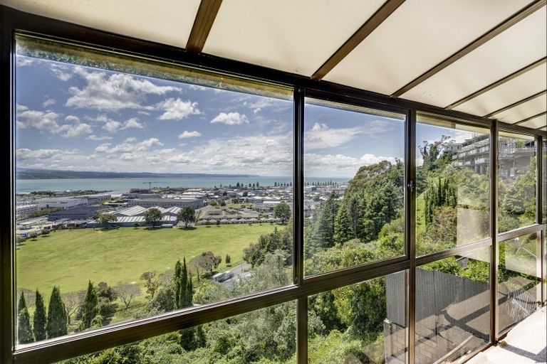 Photo of property in 28 Hospital Terrace, Hospital Hill, Napier, 4110