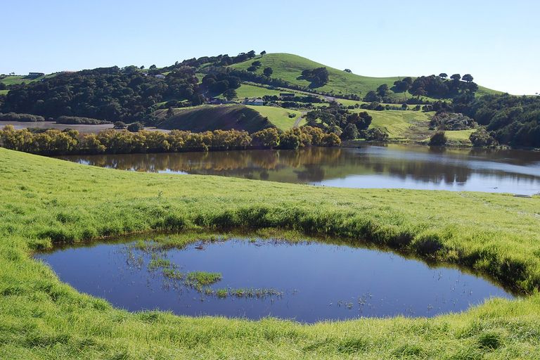 Photo of property in 96 Manu Drive, Kaiwaka, 0573