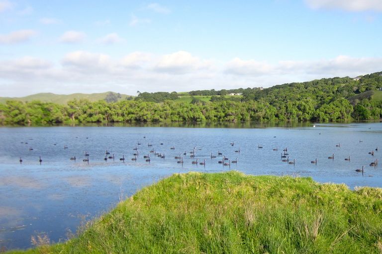 Photo of property in 96 Manu Drive, Kaiwaka, 0573