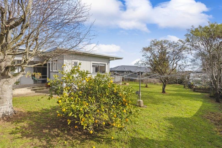 Photo of property in 24 Read Street, Levin, 5510