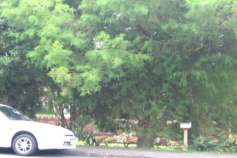 Photo of property in 13 Corunna Road, Milford, Auckland, 0620