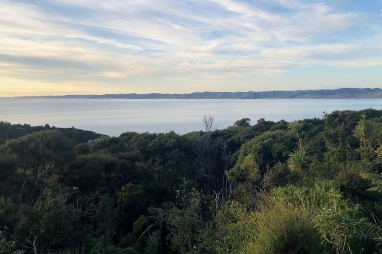 Photo of property in 112 Whaanga Road, Raglan, 3297