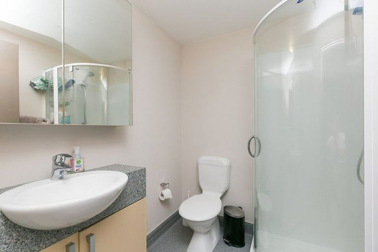 Photo of property in Dual Apartments, 511/142 Vivian Street, Te Aro, Wellington, 6011
