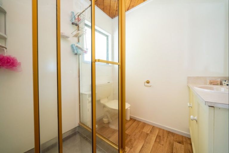 Photo of property in 124 Horrell Road, Morrinsville, 3374