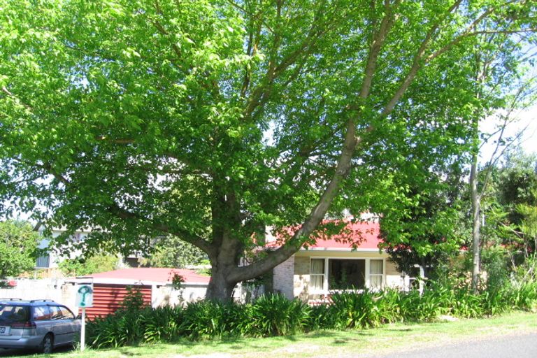 Photo of property in 56 Oswald Street, Mangapapa, Gisborne, 4010