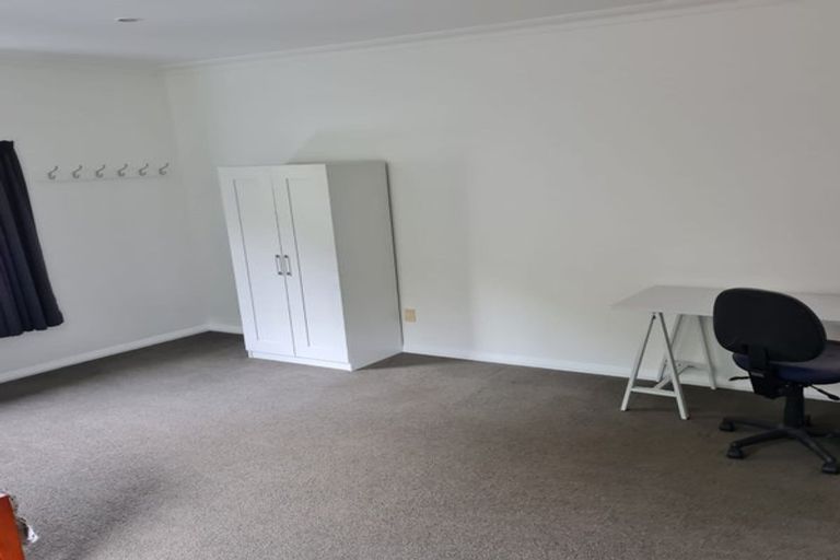 Photo of property in 97 Avenue North Road, Levin, 5510