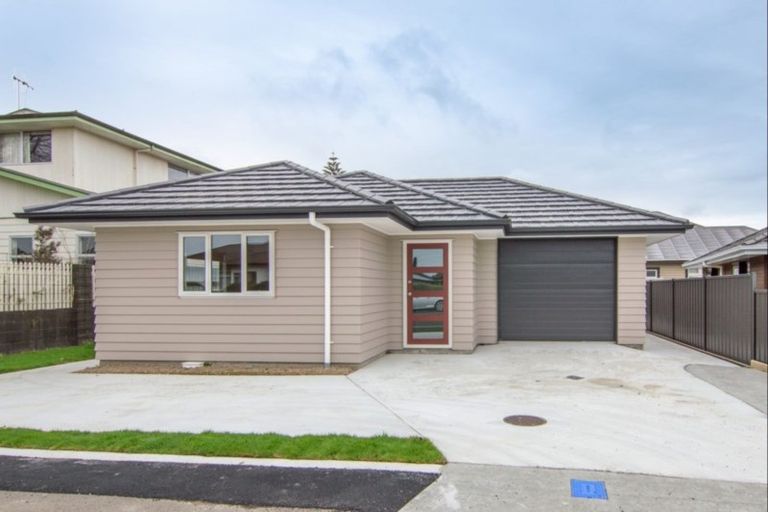 Photo of property in 315 Ruahine Street, Terrace End, Palmerston North, 4410