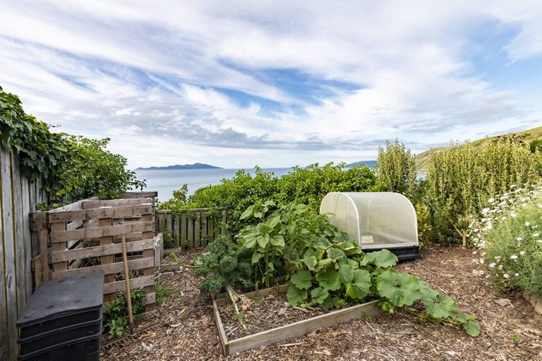 Photo of property in 1 Haunui Way, Pukerua Bay, 5026