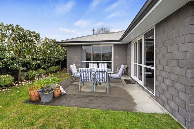 Photo of property in 8a No 2 Road, Te Puke, 3119