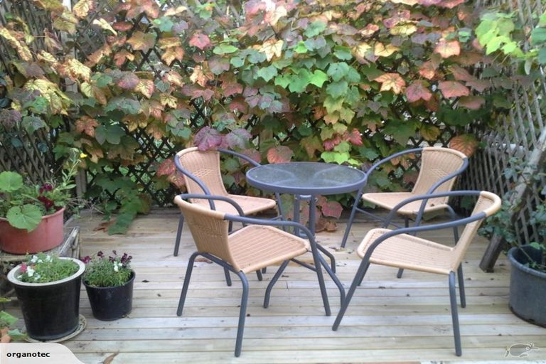 Photo of property in 93 Crawford Road, Te Kowhai, Hamilton, 3288