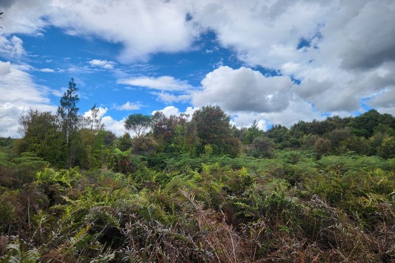 Photo of property in 240 Maori Creek Road, Marsden, Greymouth, 7872