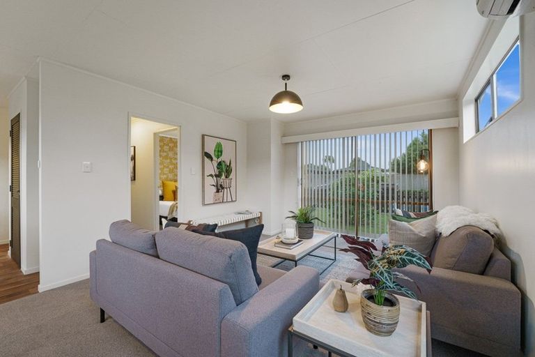 Photo of property in 3 Matipo Street, Levin, 5510