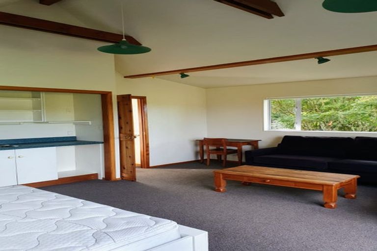 Photo of property in 156 Piha Road, Piha, New Lynn, 0772