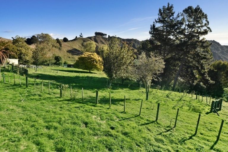 Photo of property in 453 Kururau Road, Taumarunui, 3991