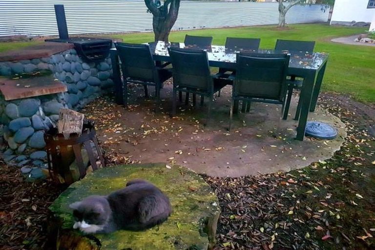 Photo of property in 14 Mitchell Road, Wairoa, 4108