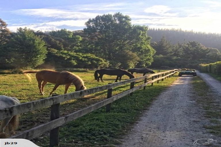 Photo of property in 217 Harvey Road, Marahau, Motueka, 7197