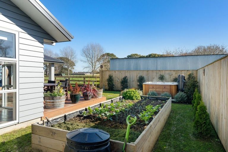 Photo of property in 10 Magnolia Place, Levin, 5510