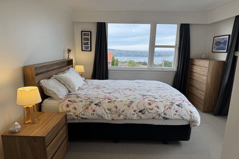 Photo of property in 8a Merlin Street, Roslyn, Dunedin, 9010