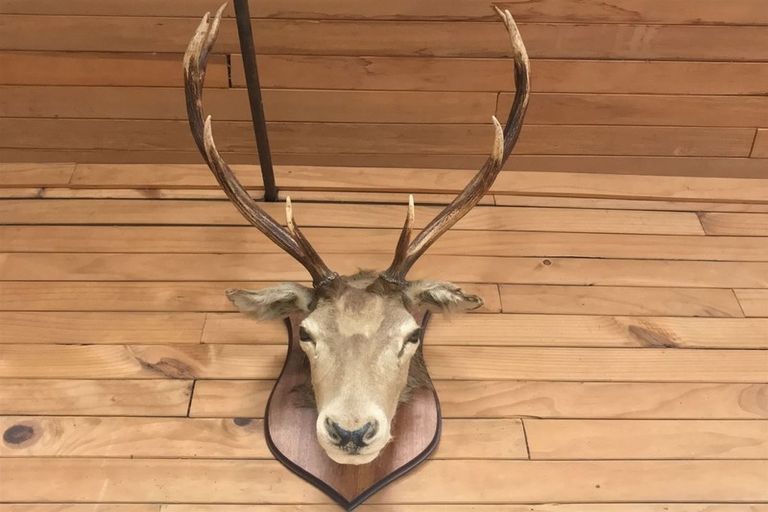 Photo of property in 2568 Lake Brunner Road, Inchbonnie, Kumara, 7875