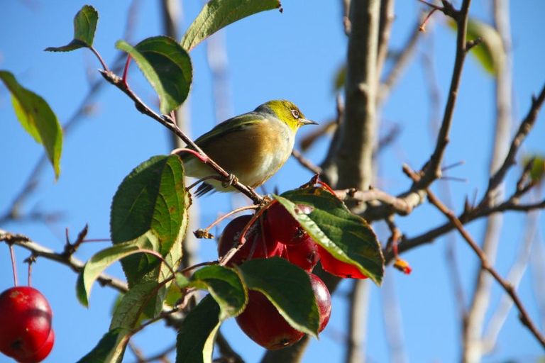 Photo of property in 1204k State Highway 3, Kai Iwi, Whanganui, 4574
