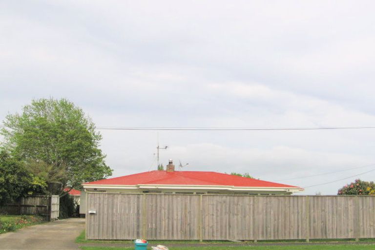 Photo of property in 193 Studholme Street, Morrinsville, 3300