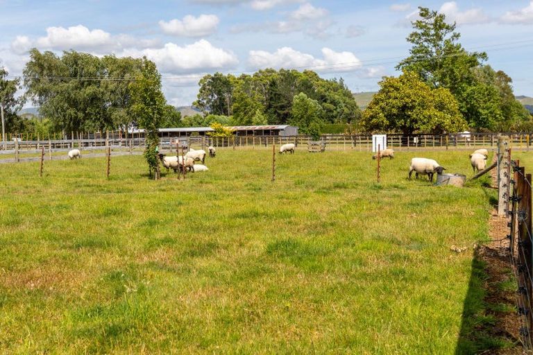 Photo of property in 69 Sowry Road, Woodville, 4920