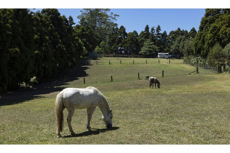 Photo of property in 41 Te Ra Road, Kaeo, Kerikeri, 0295