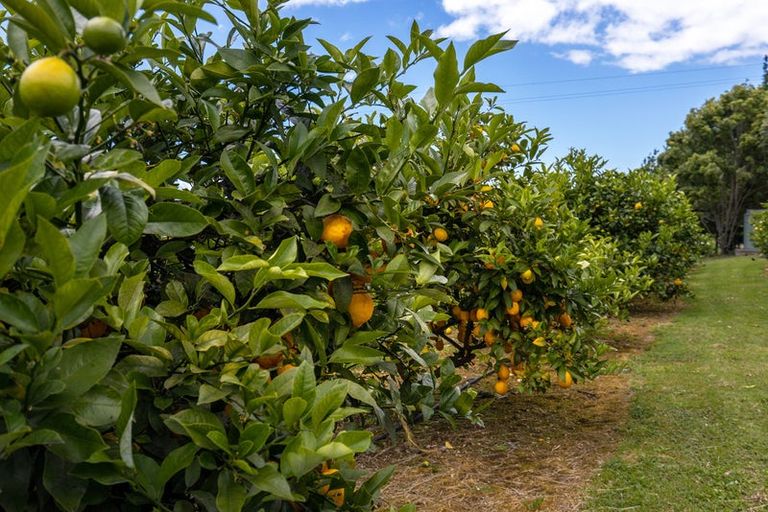 Photo of property in 225 Little Sydney Road, Brooklyn, Motueka, 7198