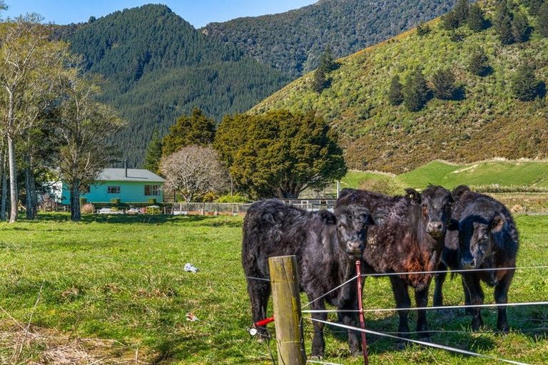 Photo of property in 561 Opouri Road, Rai Valley, 7194