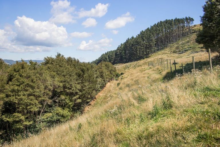 Photo of property in 36a Orchard Road, Waiake, Auckland, 0630