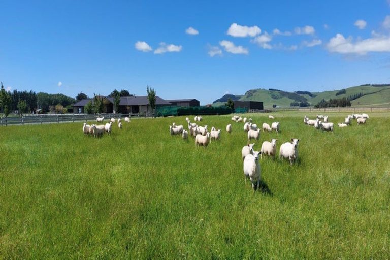 Photo of property in 338 Limehills Browns Road, Otapiri, Winton, 9782