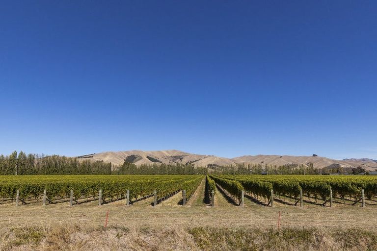 Photo of property in 14 Tavera Street, Blenheim, 7201