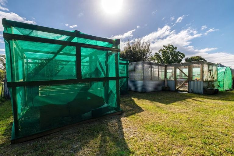 Photo of property in 253 Molloys Road, Waimate, 7980