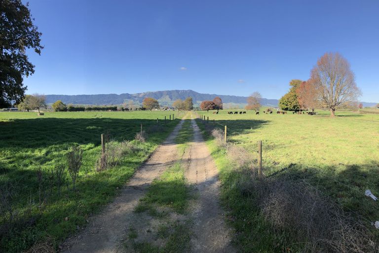 Photo of property in 34 Taihoa Road North, Matamata, 3473