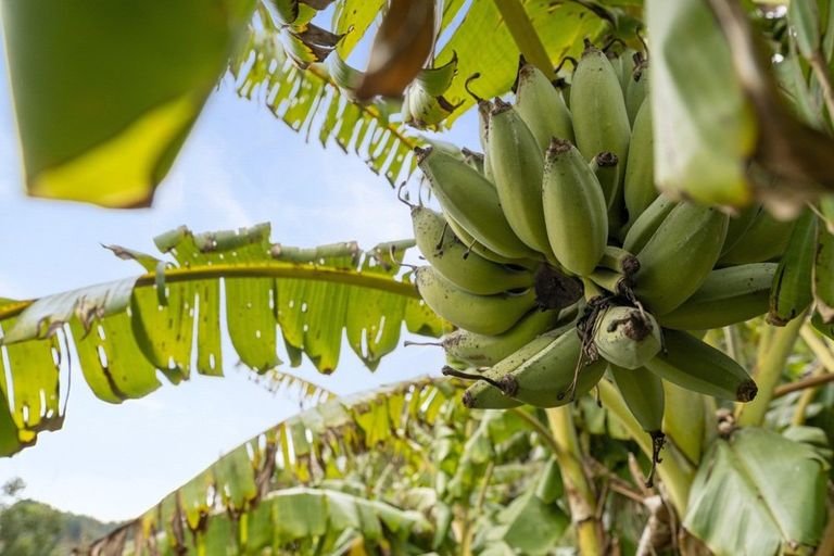 Photo of property in 149 Ringawhati Road, Otaki, 5583