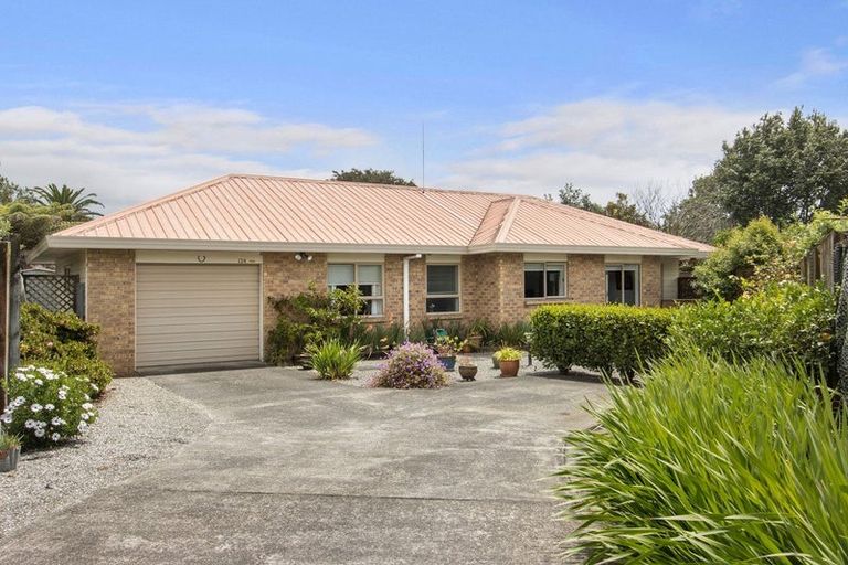 Photo of property in 124 Wills Road, Katikati, 3129