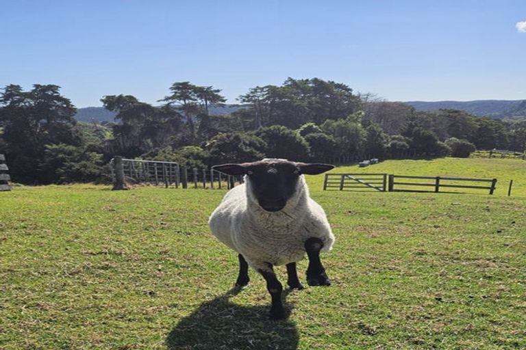 Photo of property in 112b Mahoenui Valley Road, Coatesville, 0793