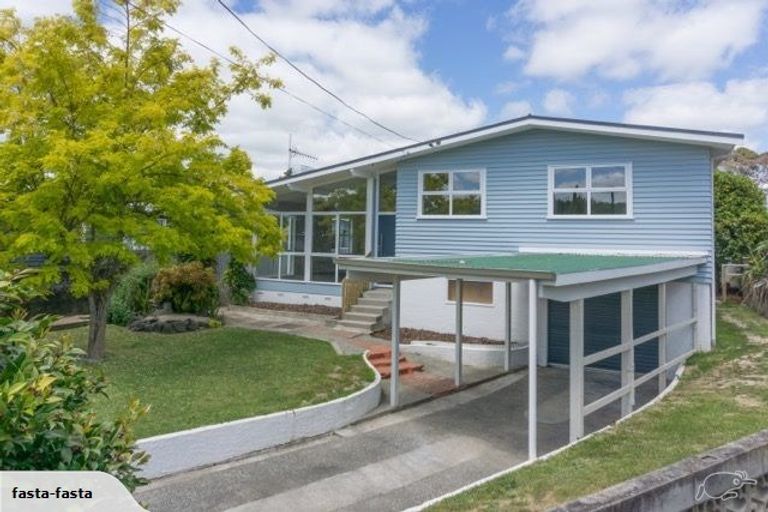 Photo of property in 20 Patrick Place, Fitzroy, Hamilton, 3206