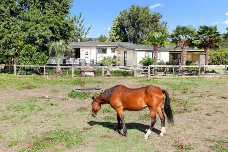 Photo of property in 821a White Pine Bush Road, White Pine Bush, Whakatane, 3191