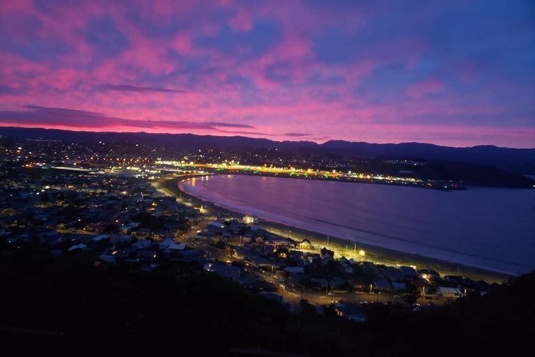 Photo of property in 105 Hornsey Road, Melrose, Wellington, 6023