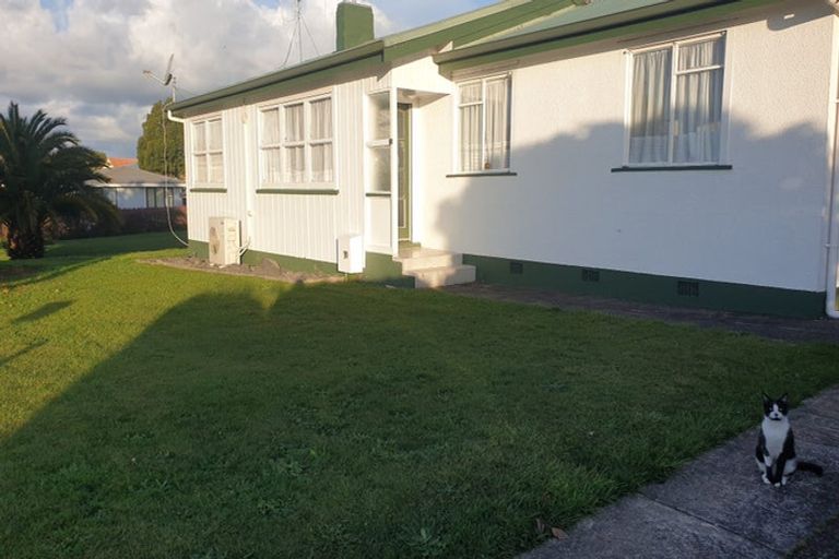 Photo of property in 41 Marchant Street, Putaruru, 3411